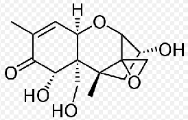 trichothecenes toxin 1